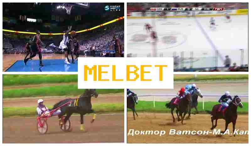 MEEL BET 🔵 Bet on Sports, Introductory Bonus