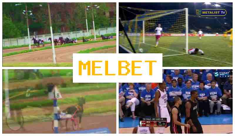 MELL BET 🆓 Sportsbook, Access Official Platform, Register, Live Sports Betting