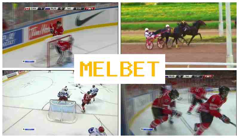 EML BET 🏆 Official Sportsbook Platform, Live Sports Wagering