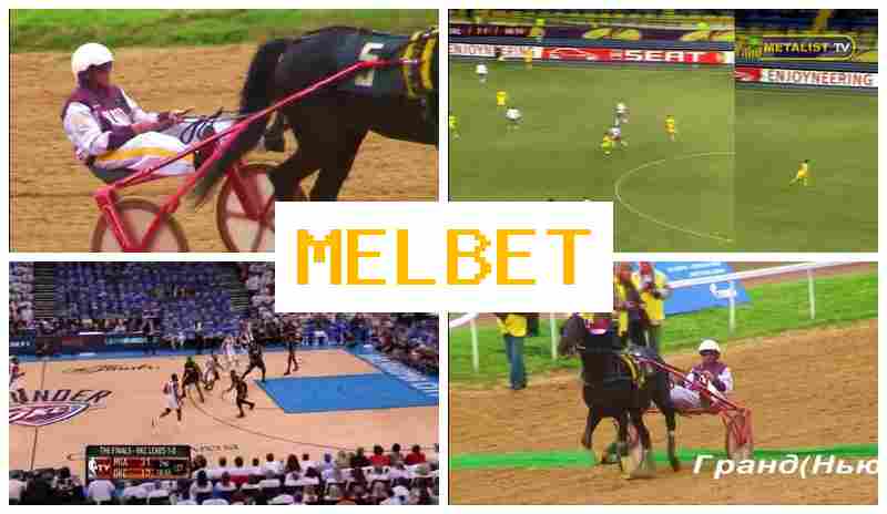 MELET ☑️ Betting Office, Online