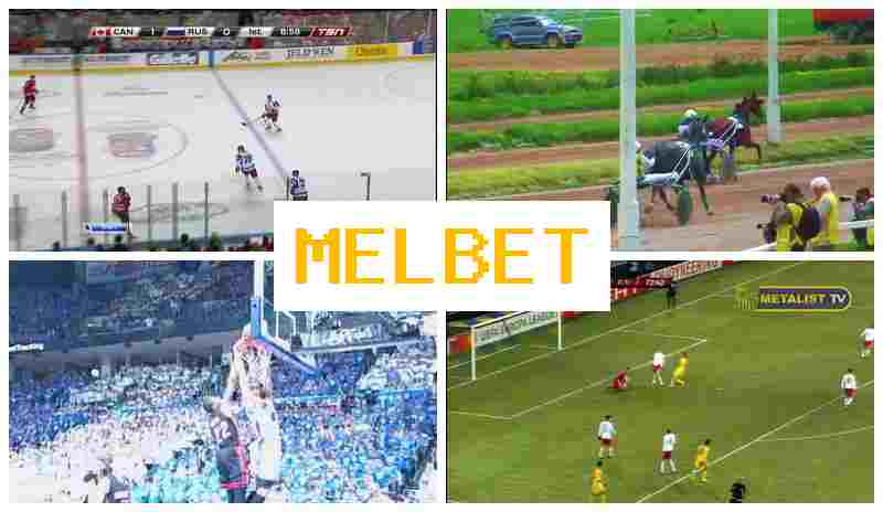 NEL BET 💶 Betting Firm NEL BET 💶 Betting Firm