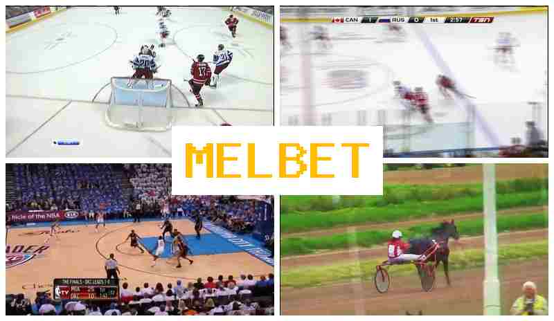 ,EL BET 🏀 Verified Betting Company Site, Bet on Sports, Bonuses and Free Bets