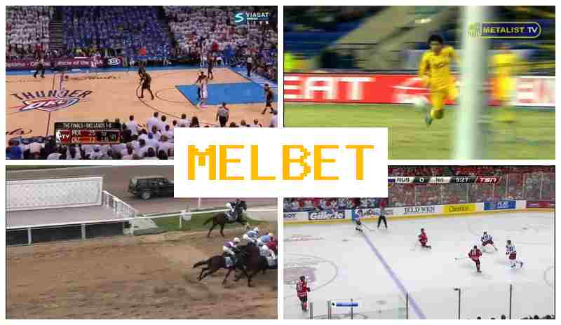 M3L BET 💶 Betting on Sports Events, Digital Sports Betting offering Best Possible Odds
