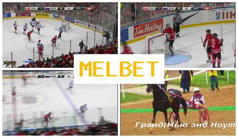 M4L BET 🔔 Bookmaker Platform, Online, Free Bets, Authorized Bookmaker Portal