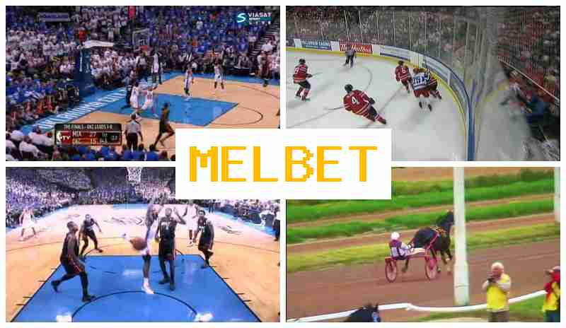 MEL VET ▓ Betting Firm, Official Bookmaker Portal