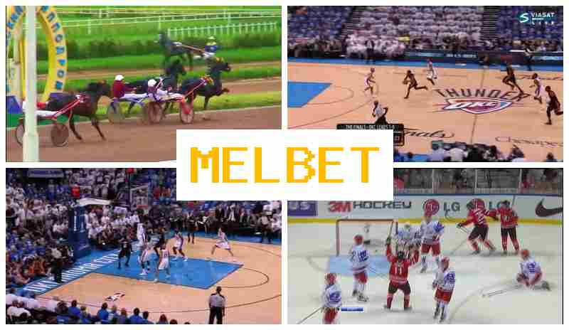MEL HET 💷 Betting Firm